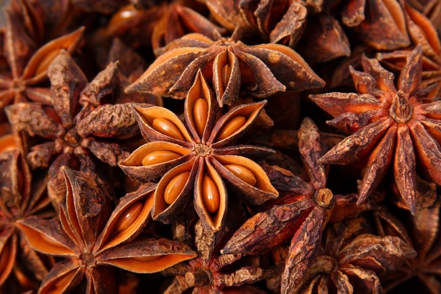 Фонтан творчества