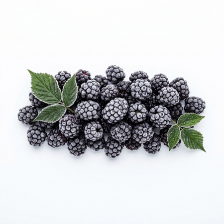 Ароматическое масло Candlescience Midnight Blackberry